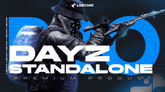 Dayz Pro