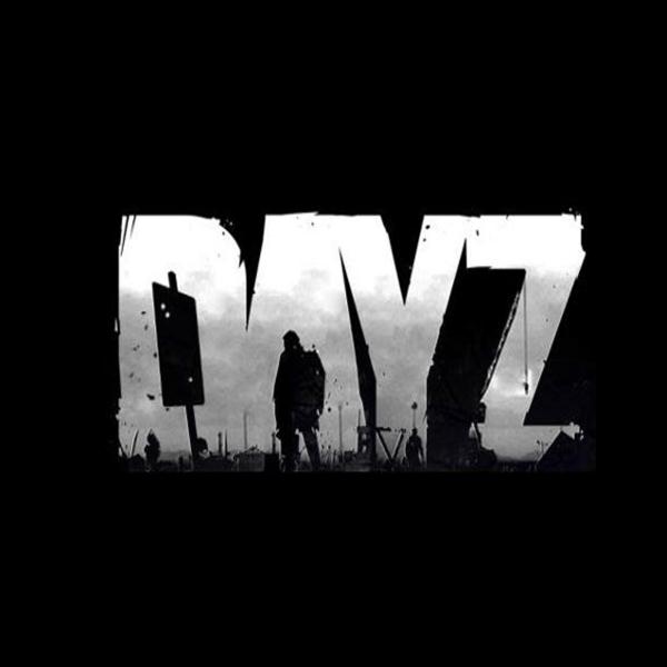 Dayz DMA